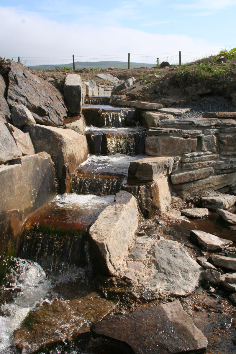 Fish Ladder